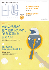 白鳩 表紙